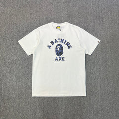 BAPE College Logo Colour Camo Oversized Unisex T-Shirt